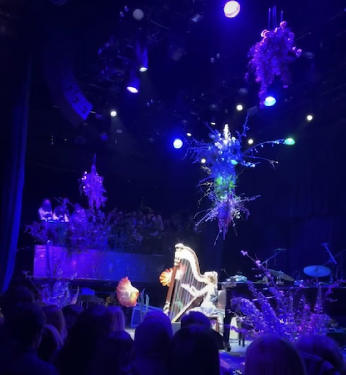 jonewsomhive's tweet photo. JOANNA NEWSOM https://t.co/jaD4rMjVFw