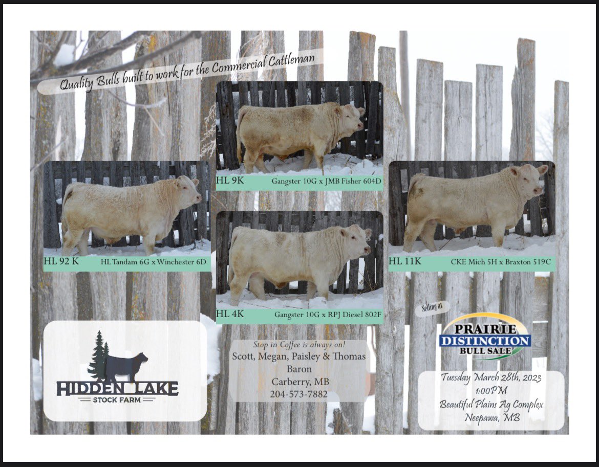 Scott Baron tweet media