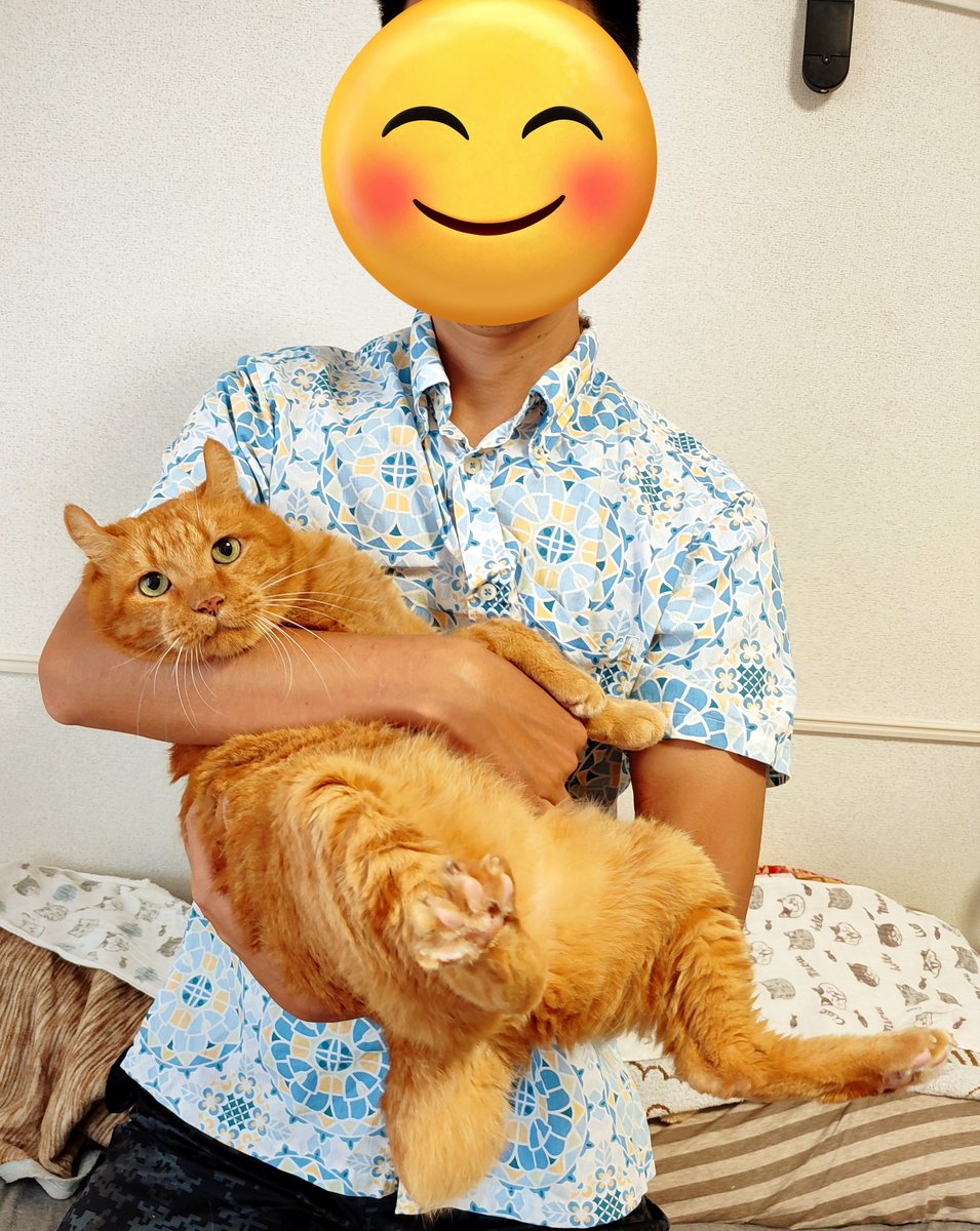 大西 😺心はいつもブッチと共に🌈超かぐや姫！ファンランナー👟 tweet media