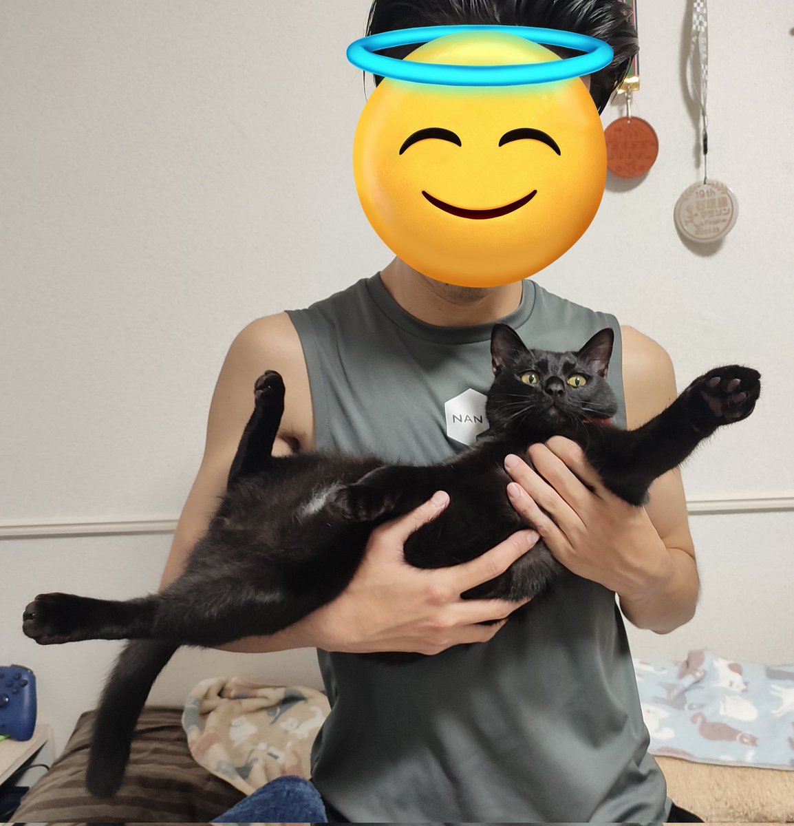 大西 😺心はいつもブッチと共に🌈超かぐや姫！ファンランナー👟 tweet media