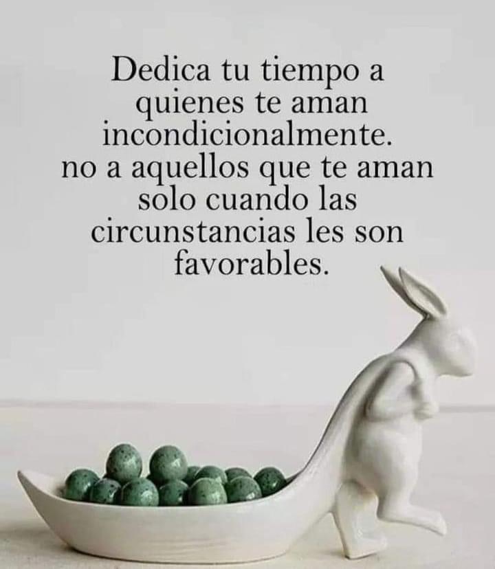 PauloCoelhoDice's tweet photo. https://t.co/or5MSq5sz1