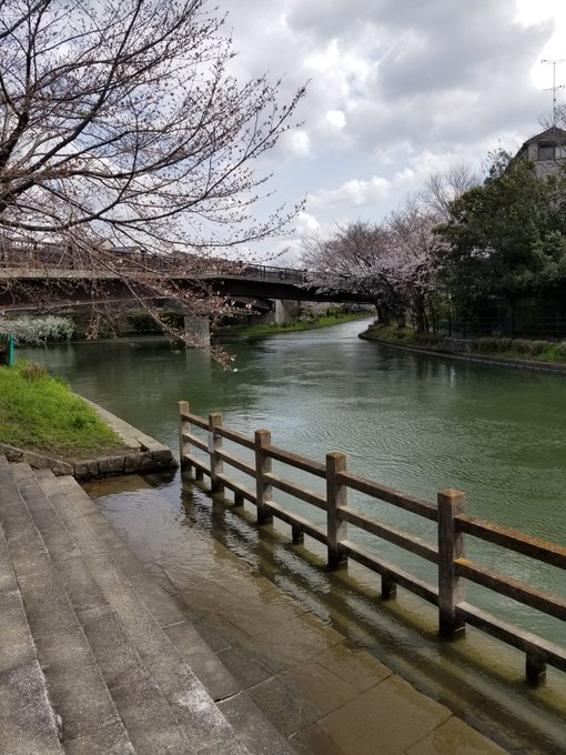 ちなみにいつかは忘れたけど、君の膵臓がたべたい、のロケ地に行ったな#君の膵臓をたべたい 