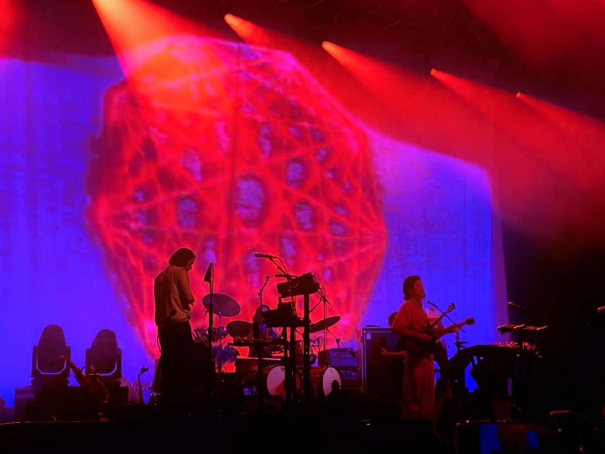 Wombat_Mätt ✭ tweet media