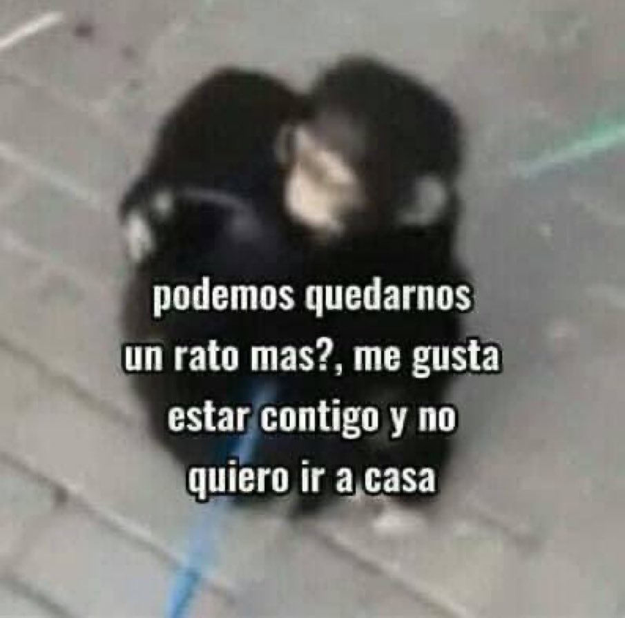 diegoilomilo (@diegoilomilo) on Twitter photo 