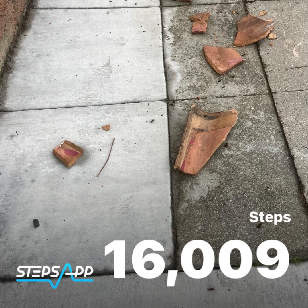 FoxAndFell's tweet photo. #pilgrimage It was very windy last night. These roof tiles were blown down to the sidewalk. #grateful that I was not there. I was #inthewind myself. #freedom #functionality #walking #urbanwalking #neighborhoodwalk https://t.co/SUSuItwTKx