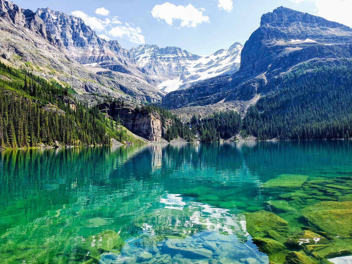 Canuckelhead1's tweet photo. @RandiLJones https://t.co/xjPuMhfWgW