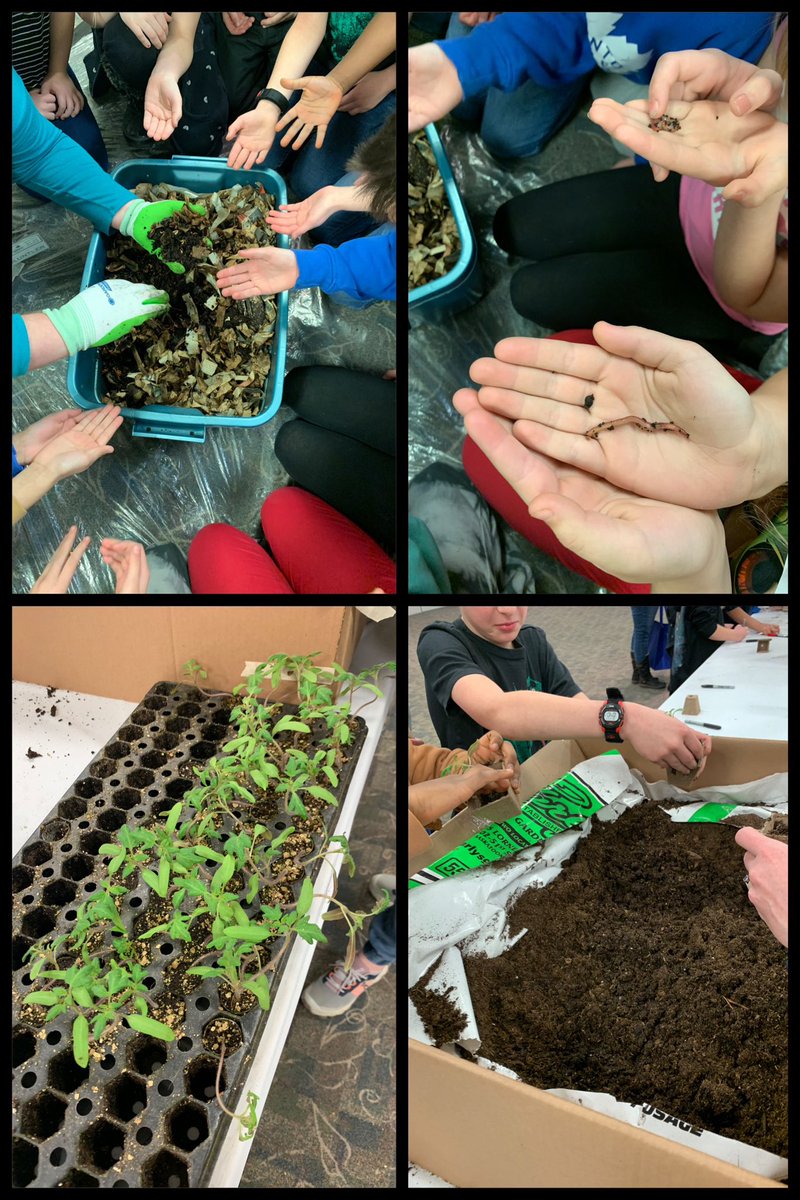 chief_school's tweet photo. Some of our grade three students enjoyed learning about plants, food, and agriculture at Agriculture in the Classroom today! 🌱 https://t.co/UXHHhQJU6K