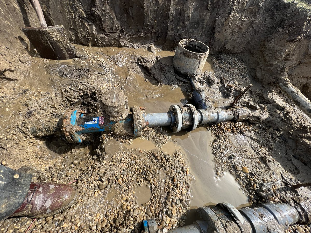 Michael Sheehan tweet media