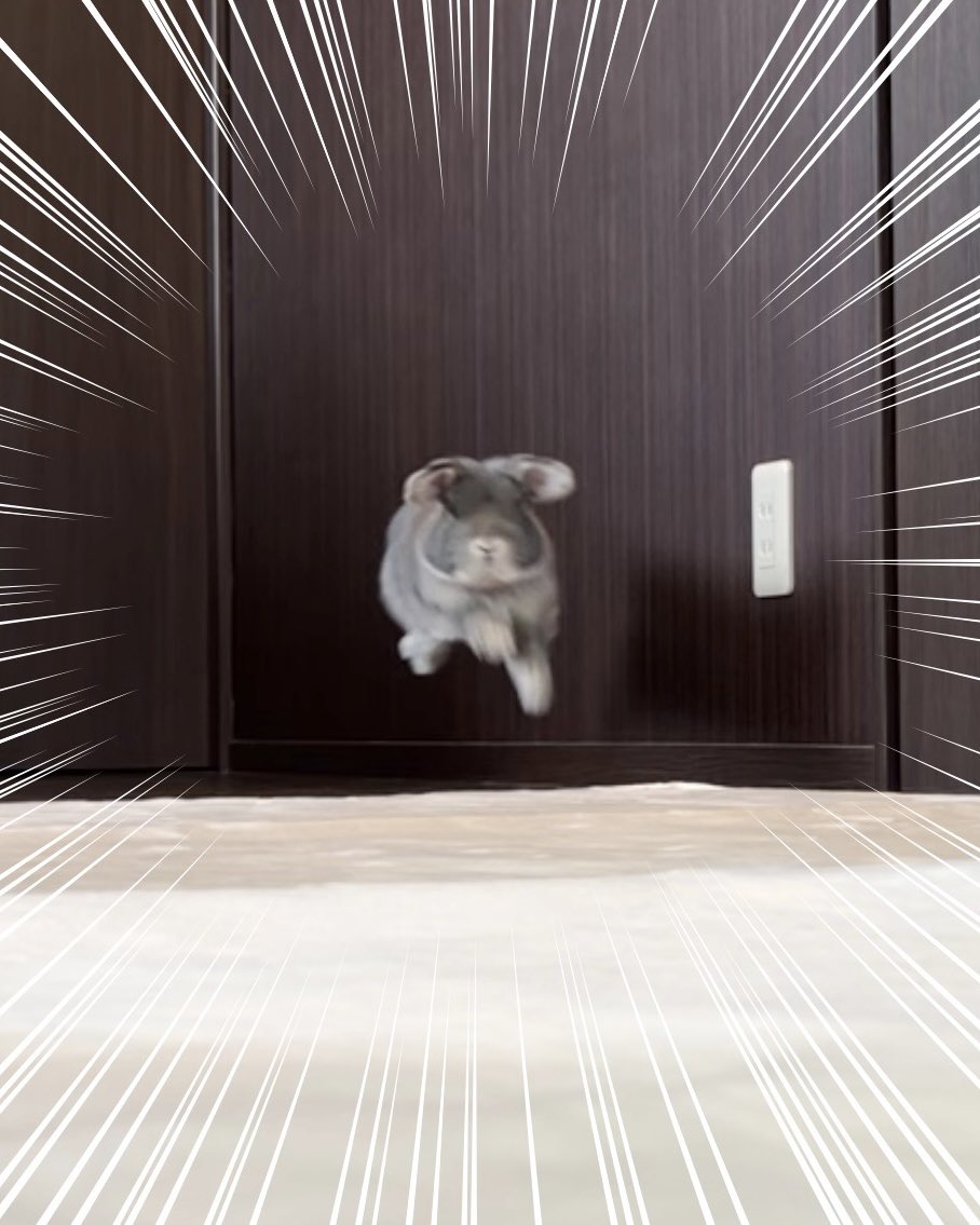 おはこま(`ｪ´)