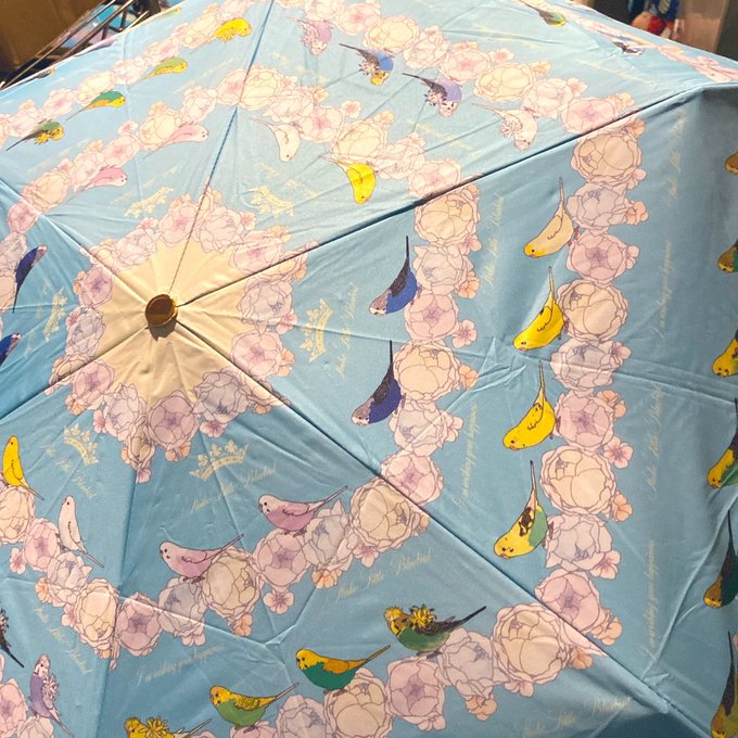 バズったら宣伝していいってばっちゃが言ってたので、宣伝〜晴雨兼用の折りたたみ傘販売中だよセキセイとラブバがあるよインコ好きの夢を詰め込んだ傘だよー5200円と少しお高いけど、高級感もあるちゃんとした傘だよ今あるだけで終わります 