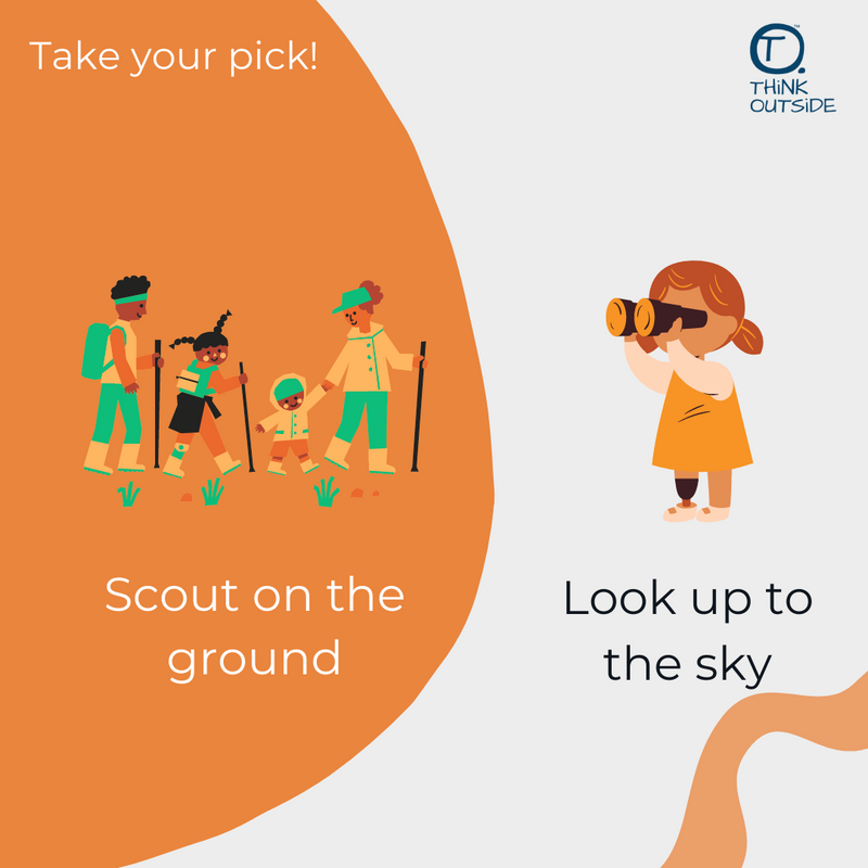 ThinkOutsideBxs's tweet photo. 🌳 With so much to explore outdoors, it's often difficult to choose where to go first.

Would you rather spend time scouting the ground for animals and plants? Or would you rather investigate the sky to see what you can find?
 
#ThinkOutsideBoxes https://t.co/pC1zwaazNk