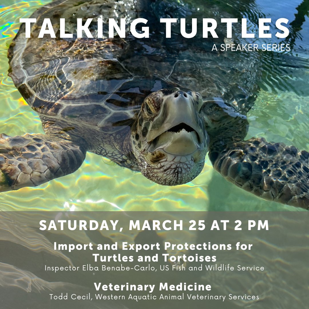 The final presentation of the #TalkingTurtles Speaker Series is happening this Saturday, March 25 at 2 PM! 🐢

Learn more and RSVP today, space is limited: bit.ly/TalkingTurtles