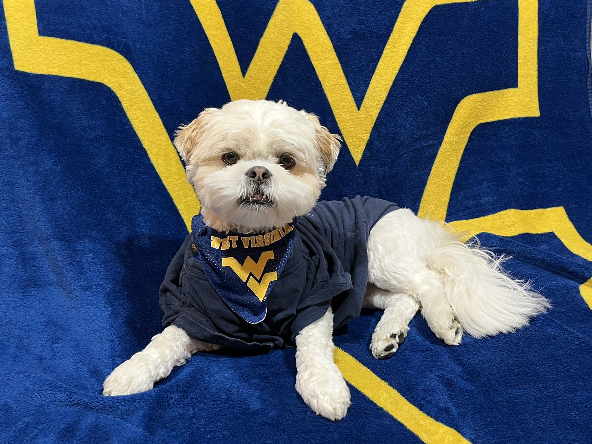 J Paige Nesbit tweet media