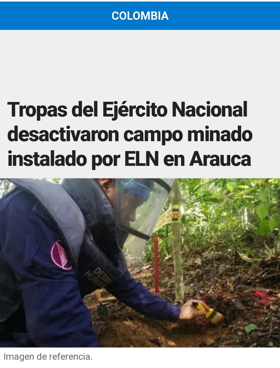 #EstaPatasArriba zona rural del municipio de Fortul, Arauca, tropas del Ejército ubicaron y destruyeron 13 minas antipersonales y 19 detonadores eléctricos de fabricación artesanal

Este es el cese al fuego?
Ustedes que opinan #DeMalas <a href="/FranciaMarquezM/">Francia Márquez Mina</a> <a href="/petrogustavo/">Gustavo Petro</a>