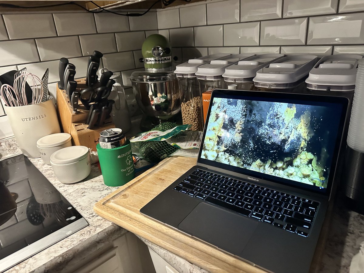 astro_microbe's tweet image. Tonight it’s #DineAndDive at the Smith household. I hope I don’t burn dinner! I can’t take my eyes off these #NeverBeforeSeen #hydrothermalvents ⁦@SchmidtOcean⁩