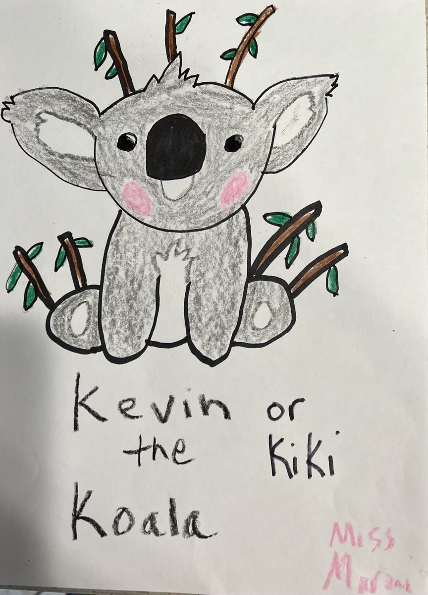caryn_maroni's tweet photo. Subbed Kindergarten 2day 4a friend Did #ReadAloud about Kevin the #Koala & I decide 2 do a step by step drawing w/them on The #PrometheanBoard 1 girl said hers was a girl so we came up w/ name Kiki Let students share up on board & 1 added earrings said hers was #NonBinary ππππ» https://t.co/8U9XPhKQH6