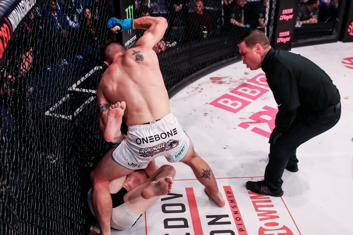 PandaMania tweet media