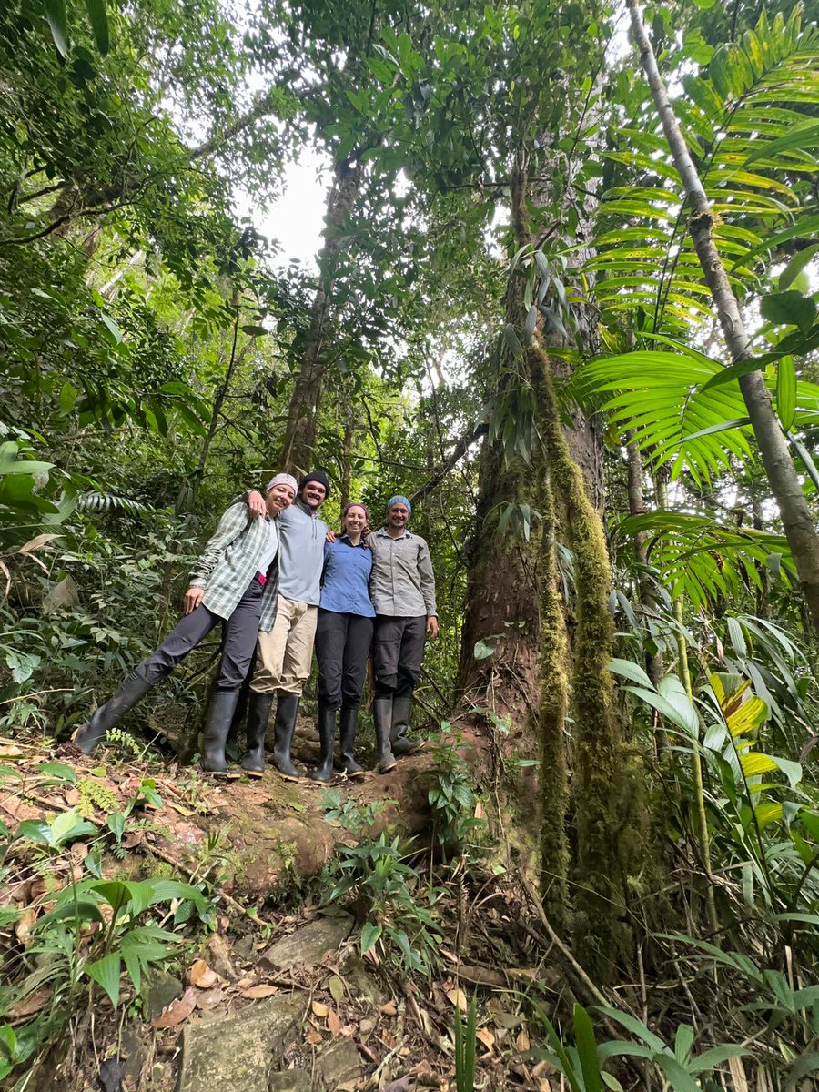 Lina Aragón tweet media