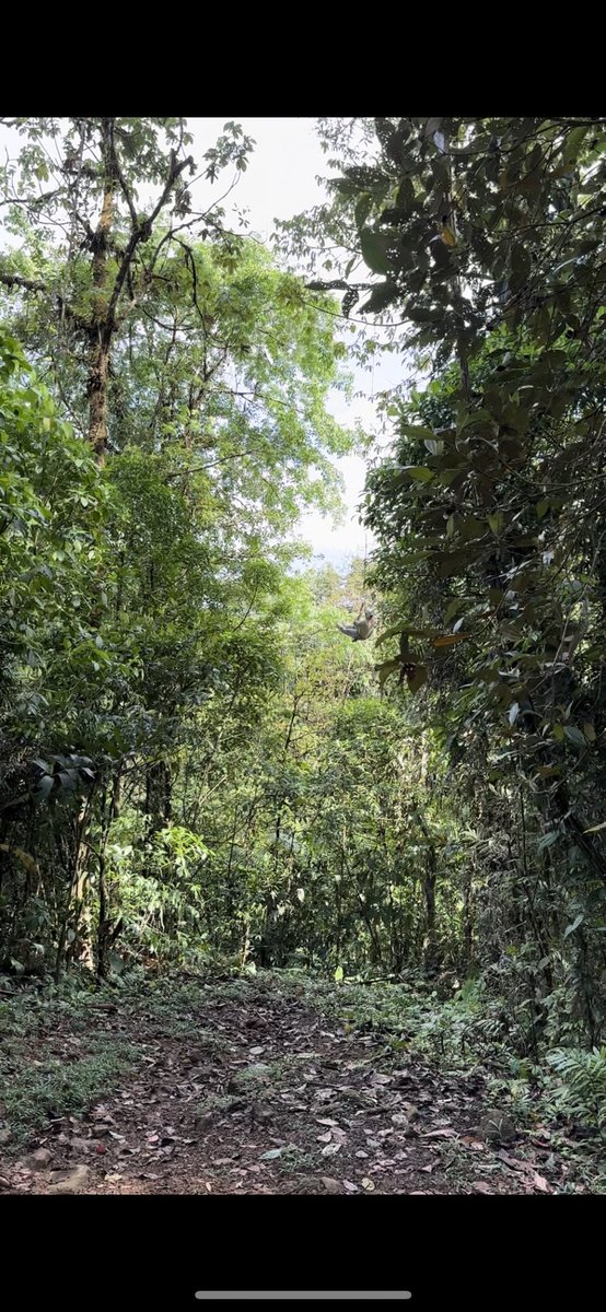 George Secor tweet media