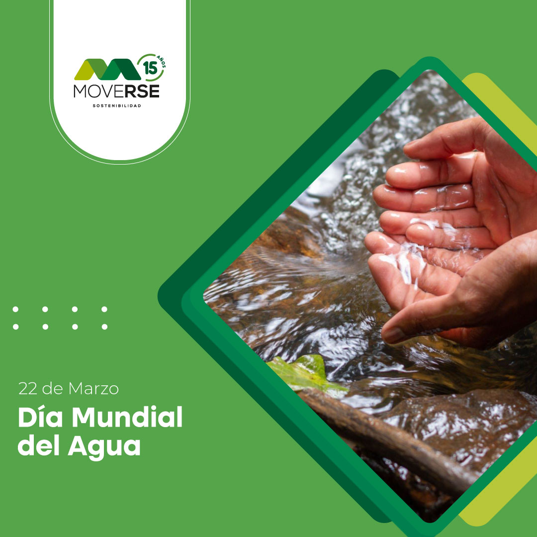 MoveRSEorg's tweet image. El Día Mundial del Agua💧 es una oportunidad única para unirnos en favor del agua y acelerar juntos los avances en esta esfera.

El agua es un derecho, una prioridad y un recurso vital en nuestro día a día. 

#DiaMundialDelAgua #Agua #Sostenibilidad #WorldWaterDay #moverse