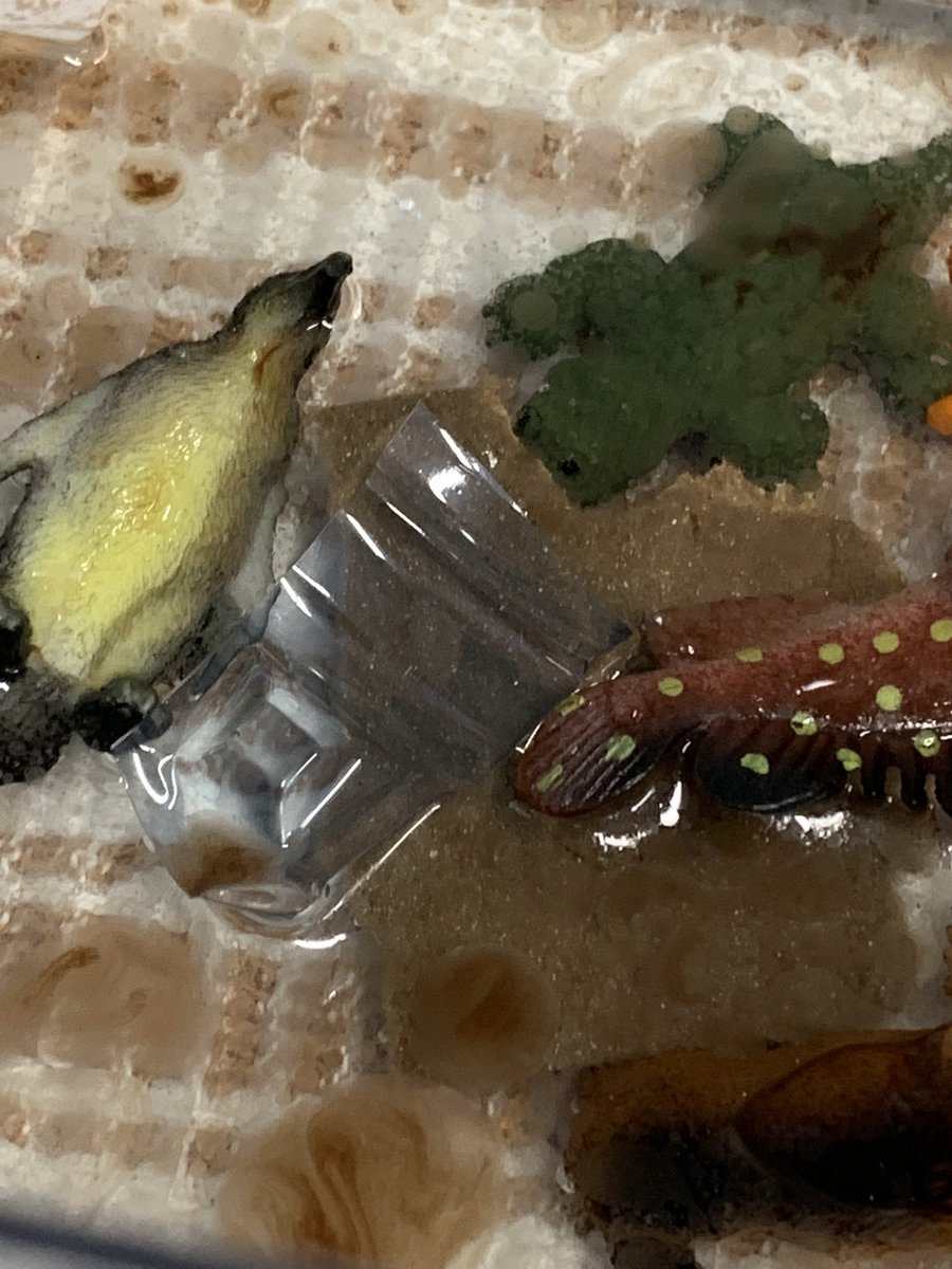 MsKylaC's tweet photo. #WordWaterDay- we had important discussions today about oil spills, pollution & how so many Indigenous communities still donβt have access to clean drinking water πππ§#FMCSD #IndigenousPeoples #WaterIsLife #education https://t.co/55WAOWeVgt