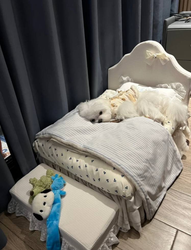 The sleeping position is also very cute, super charming and moving.