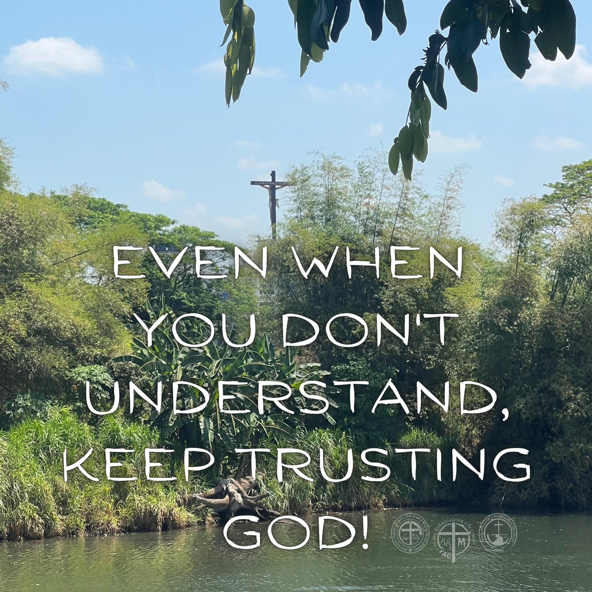YMACmomqpm's tweet photo. EVEN WHEN YOU DON'T UNDERSTAND, KEEP TRUSTING GOD!
***
May the holy Triune God bless you always and in all ways!
#DrawnToFollow #PromoteTheGospel
#PromotionToLOVEtheWORDofGOD
#YAC #YMAC #SYM #SVDyouth
#UnfailingGrace #EmpowerTheYoung
#ShrineYouth #ServeOthers https://t.co/Q4RZhz1p4G