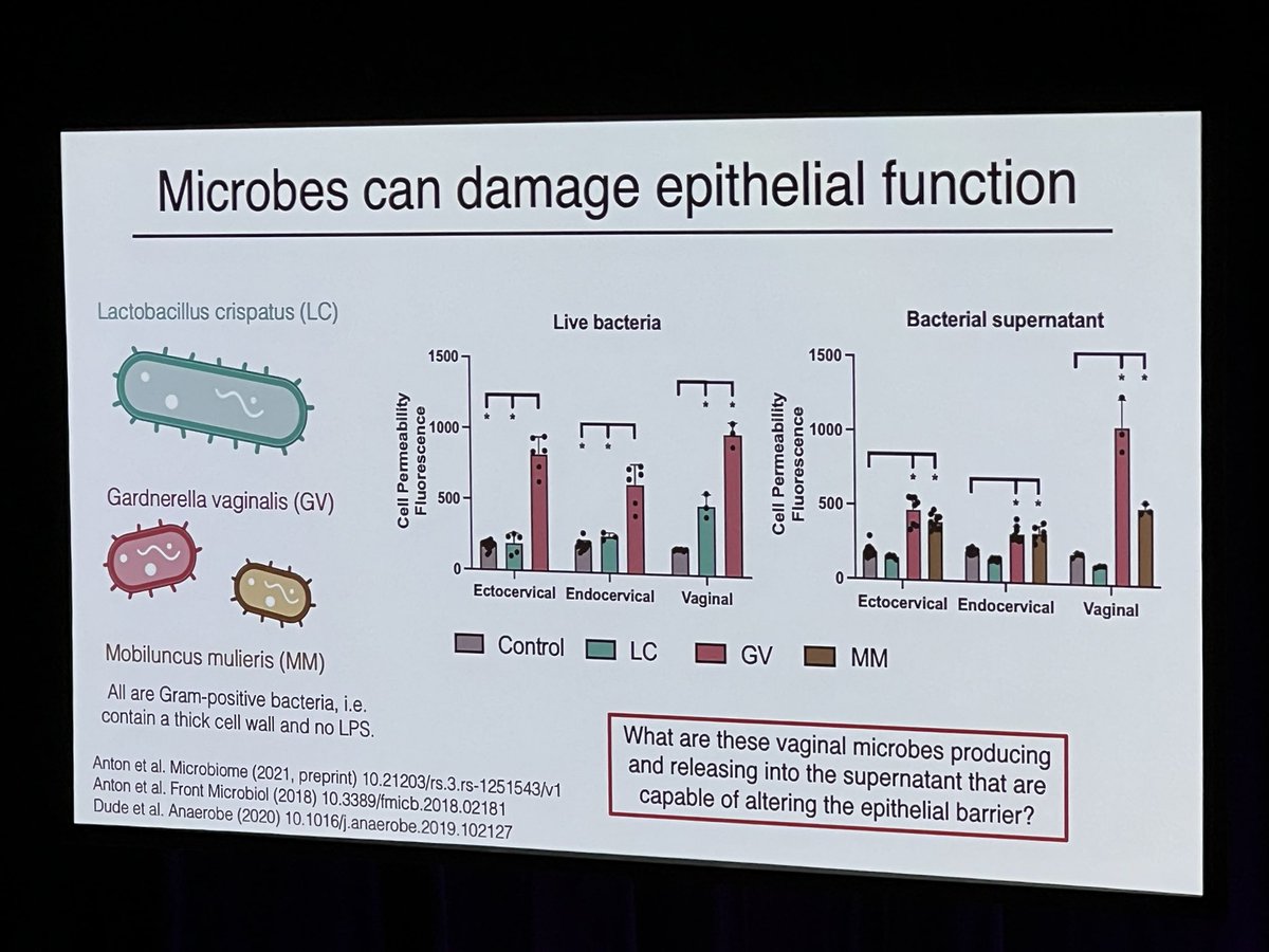 clairetroberts's tweet image. Great talk from @andrea_j0seph from @DocElovitz lab Bacteria shed EVs too big implications for bacterialvaginosis &amp;amp; potentially preterm birth #SRI2023 @SRIWomensHealth @ReproductionSRB @mypsanz @IFPA_Official @ANZPRA1
