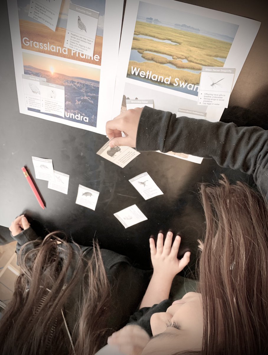 HesterSciSAISD's tweet photo. Storm ES 5th Graders communicating, collaborating and thinking critically about adaptations. Having a hard time justifying your response? Use the #SentenceStem! @SAISD_Science @SAISD_CI @PattiSalzmann https://t.co/ZD08NyCjwv