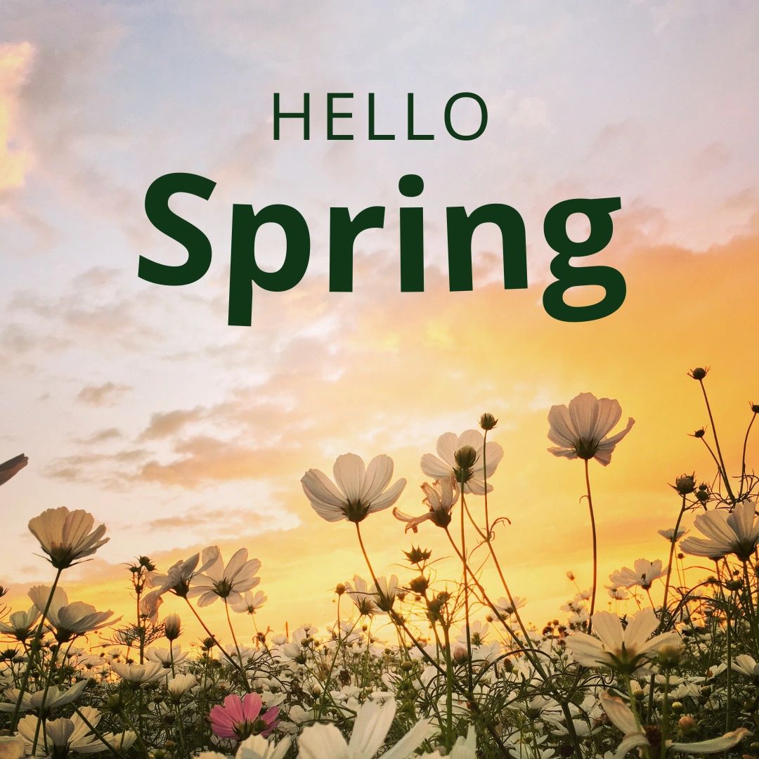🌷 Spring is in the air! 🌷 Are your bins ready for the season? Contact us today to schedule your cleaning appointment wheeliebindoctors.com 
#springcleaning #bincleaning #ecofriendly #WheelieBinDoctors 🚮💚🧹