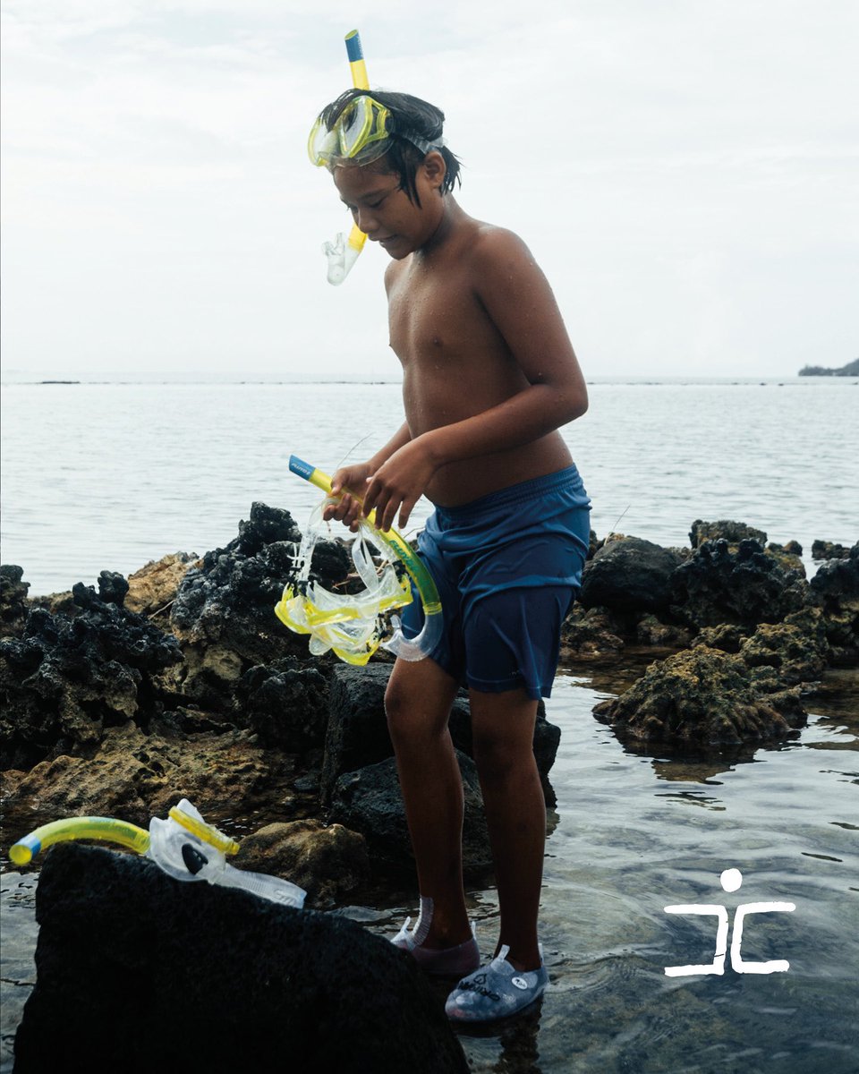 Coral Gardeners tweet media