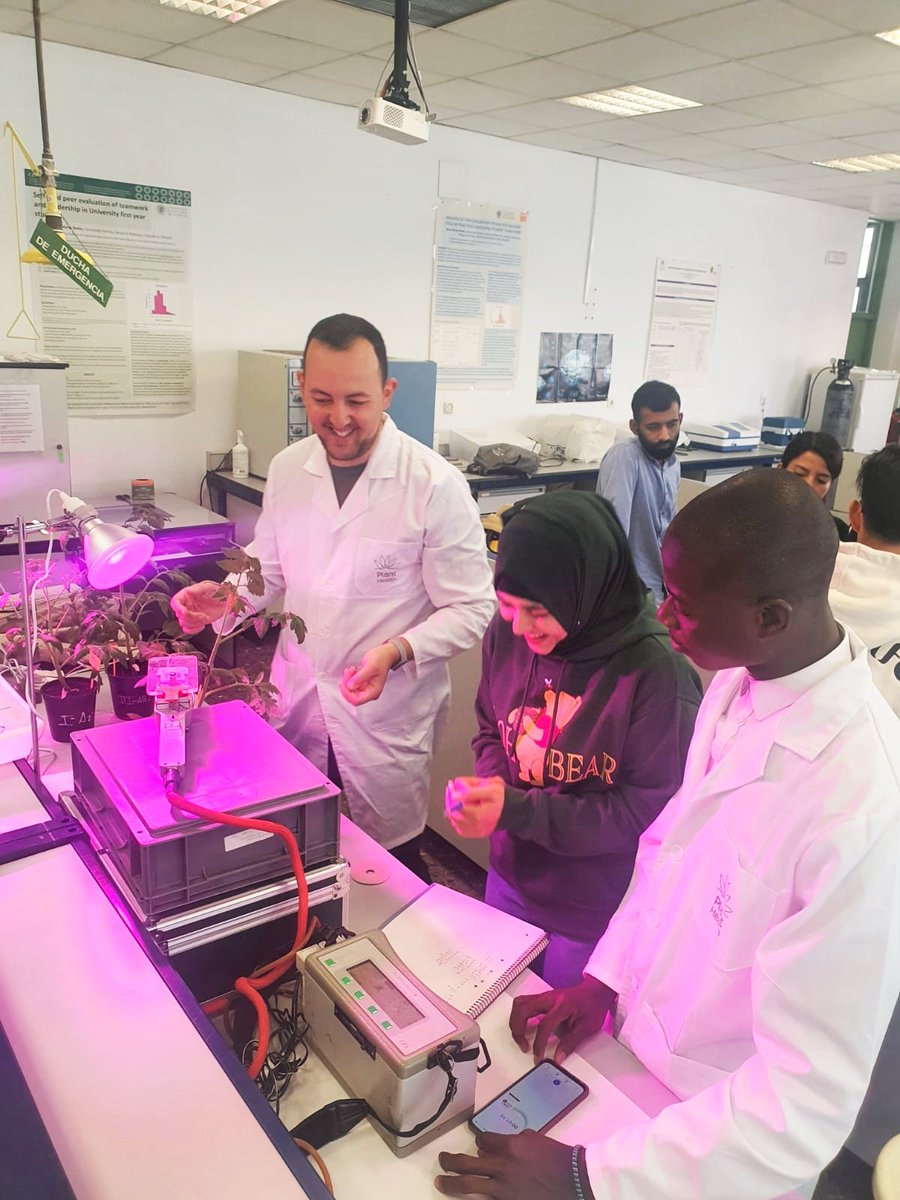 MohamedSamu9's tweet photo. EMJMD in Plant Health in Sustainable Cropping System 
Understanding the physiological response of plants to stress conditions!! https://t.co/bFBG66LBjG