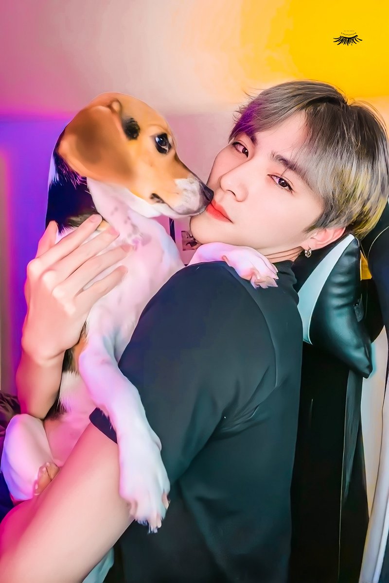 신마적 tweet media