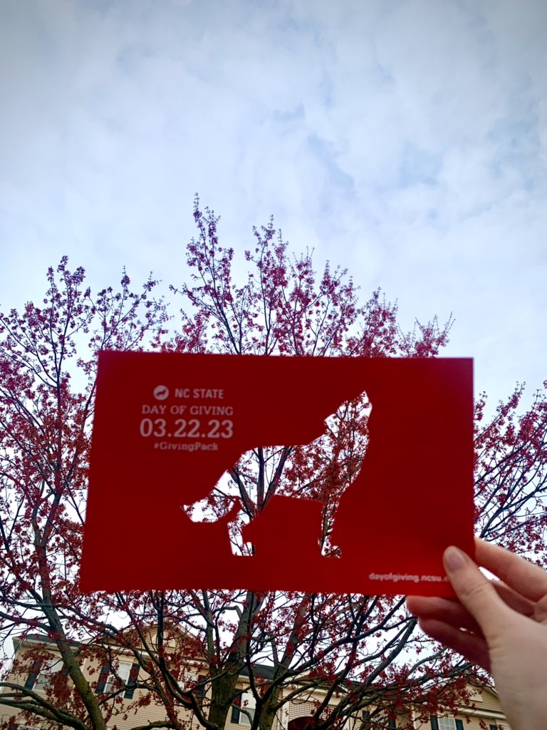 _CallieY's tweet photo. Happy to support @NCSUStudyAbroad today for @NCState #DayOfGiving! Studying abroad w/ NCSU was the most impactful experience I received. Giving to this group provides scholarships for students to enjoy all that global studies has to offer! #GivingPack 🐺Views from Farmville, VA! https://t.co/PK2sR2AYPu