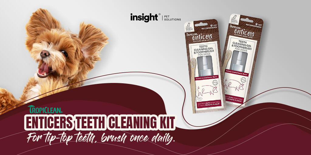 insight_pet's tweet photo. The smokey, savory flavour of bacon or the sweet, nutty flavours of peanut butter and honey will make toothbrush time your dog’s favourite time.

#dogs #dogproducts #dentalcare #teethcleankit #dogdentalcare #toothbrush #petproducts #pets #brushfordogs #aussie #insightpetsolutions https://t.co/Mc8ChHrQZ9
