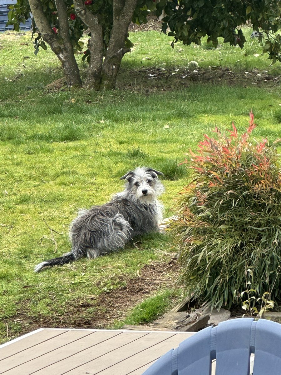 HPIV2's tweet photo. @DannyDeraney @Crosbydoggy Finally a spring day https://t.co/WQpKNPAlhR
