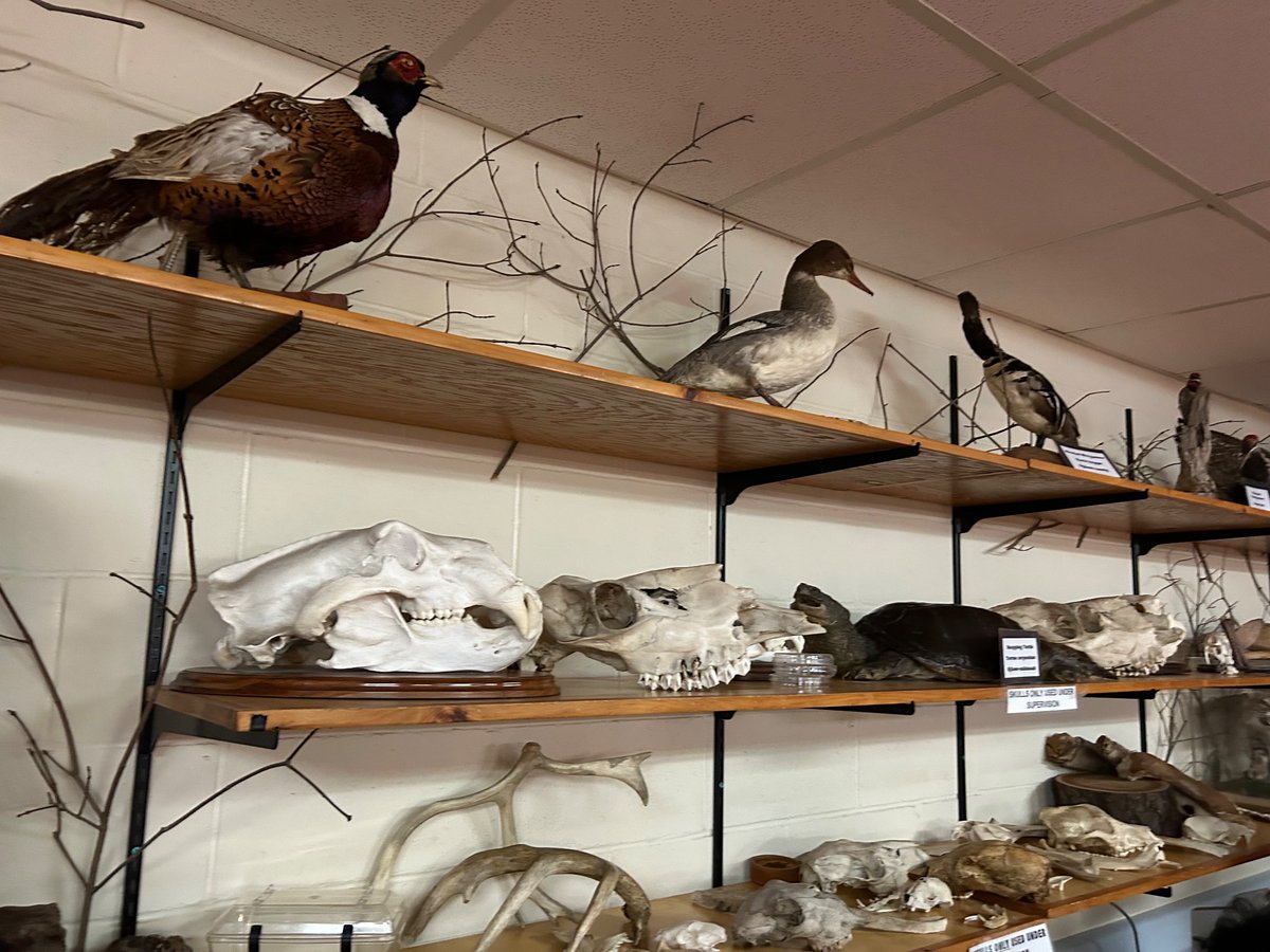 Afifa Abdul Khader tweet media