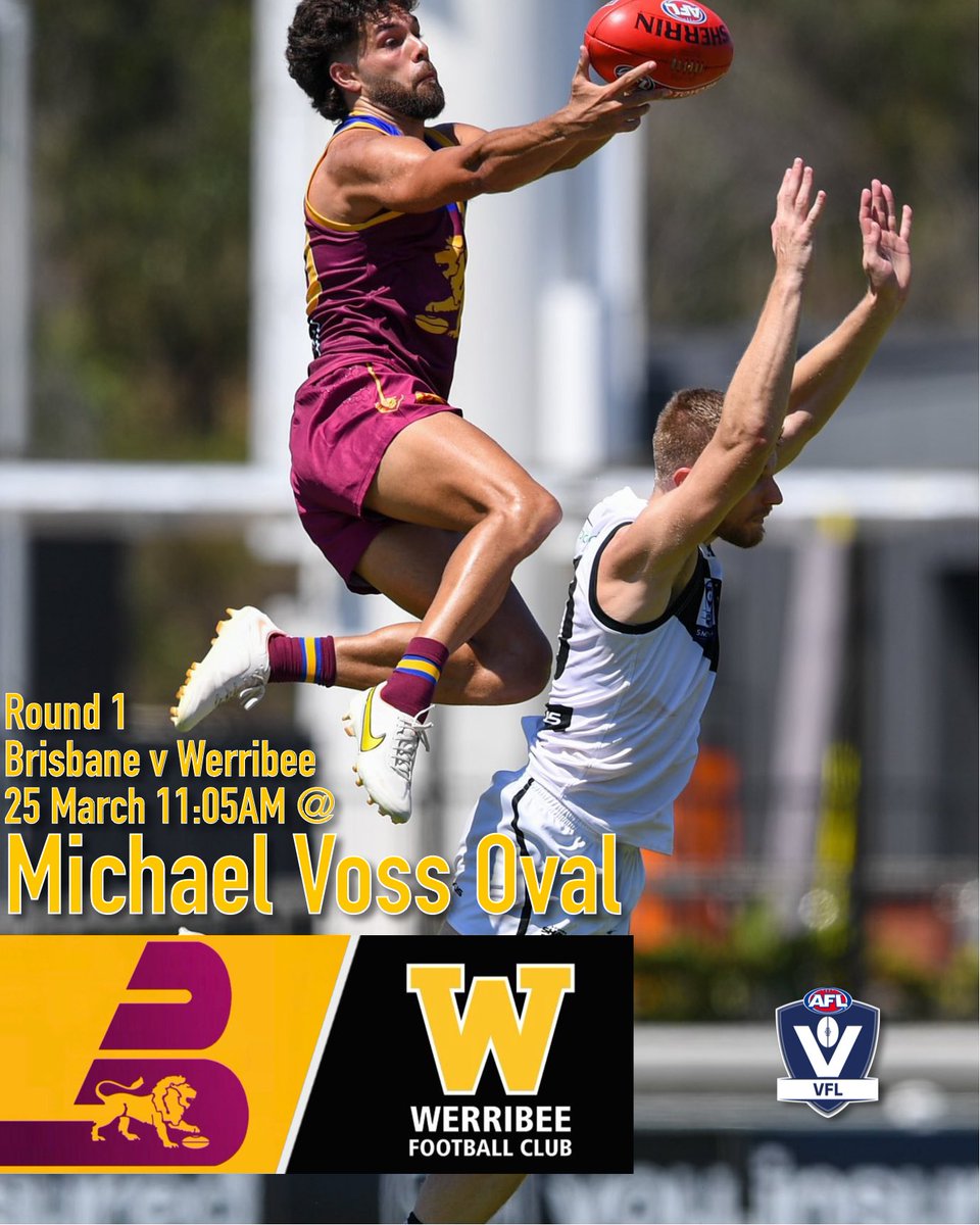 thebrisbanebear's tweet photo. Brisbane take on @WerribeeFC in Round 1 of the #VFL this Saturday at 11:05am at Michael Voss Oval. Entry is free.
#Uncaged #DareToBeatTheBear 🐨
📸 @Highflyer_Image https://t.co/7Pmdw3zj6F