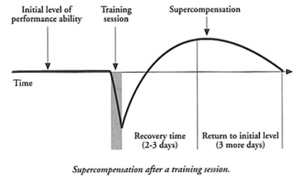 Ben Griffin (@coachgriffin88) on Twitter photo You don’t get stronger in the gym. Training provides the stimulus, it damages the body. It’s then whilst recovering, that that you get stronger.
I think it’s important for athletes to understand this.
The below graph does nice a job of illustrating this process. You don’t get stronger in the gym. Training provides the stimulus, it damages the body. It’s then whilst recovering, that that you get stronger.
I think it’s important for athletes to understand this.
The below graph does nice a job of illustrating this process.