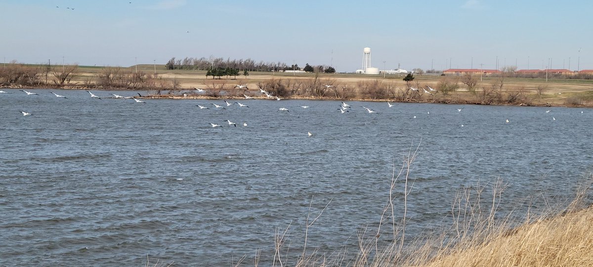 Scott Countryman tweet media