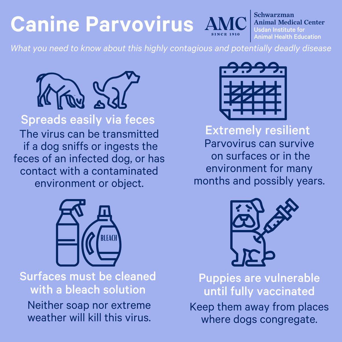 ALERT! 🚨 Schwarzman AMC’s 24/7 ER has seen a spike in cases of canine parvovirus, and we urge our clients to make sure your beloved pups are protected! 

🐶 Puppies are extremely vulnerable and are not protected until fully vaccinated.

Learn more: amcny.org/pet_health_lib…