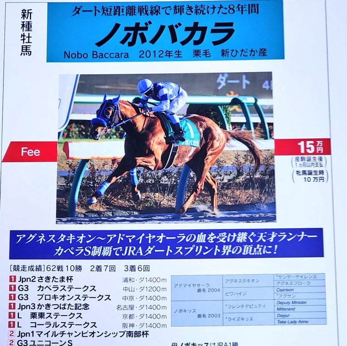 cafelatecinamon's tweet photo. ☆ノボバカラ☆

父アドマイヤオーラ
母ノボキッス
母の父フレンチデピュティ

〈種付け料〉
生後15万円(牝馬10万円)

🏠️イーストスタッド

ｼﾞｬﾊﾟﾝﾚｰｽﾎｰｽｴｰｼﾞｪﾝｼｰ
☎️0146-22-0208 https://t.co/LawrSCwTKG