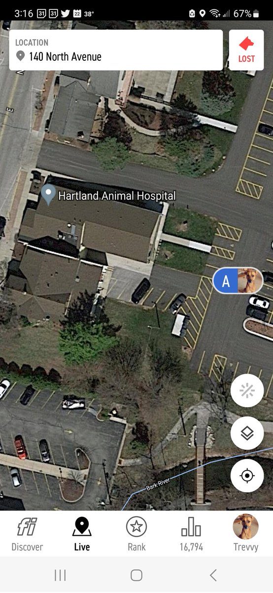 I had my annual check up today at the Hartland Animal Hospital.  All went well but glad it's only once a year.