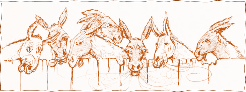 ktrey's tweet photo. d100 - Marvelous Mules &amp; Distinctive Donkeys
A Hundred Traits &amp; Names to make these more memorable
https://t.co/OukWQSW0uT
#ttrpgs #randomtables #OSR #dungeons https://t.co/kZCRrpZfmK