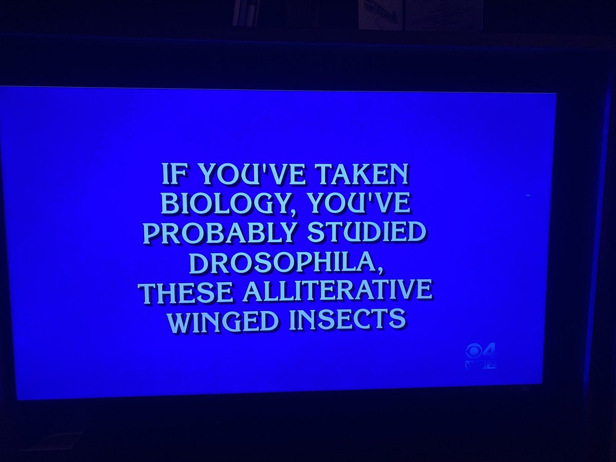 SilvermanNeal's tweet photo. Clearly the best Jeopardy answer ever. https://t.co/N3XjNVEHLg