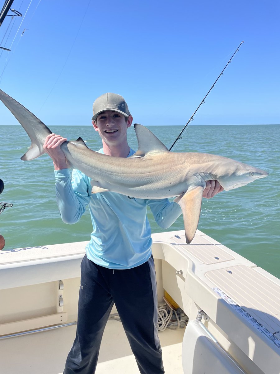 Steve Moffitt tweet media