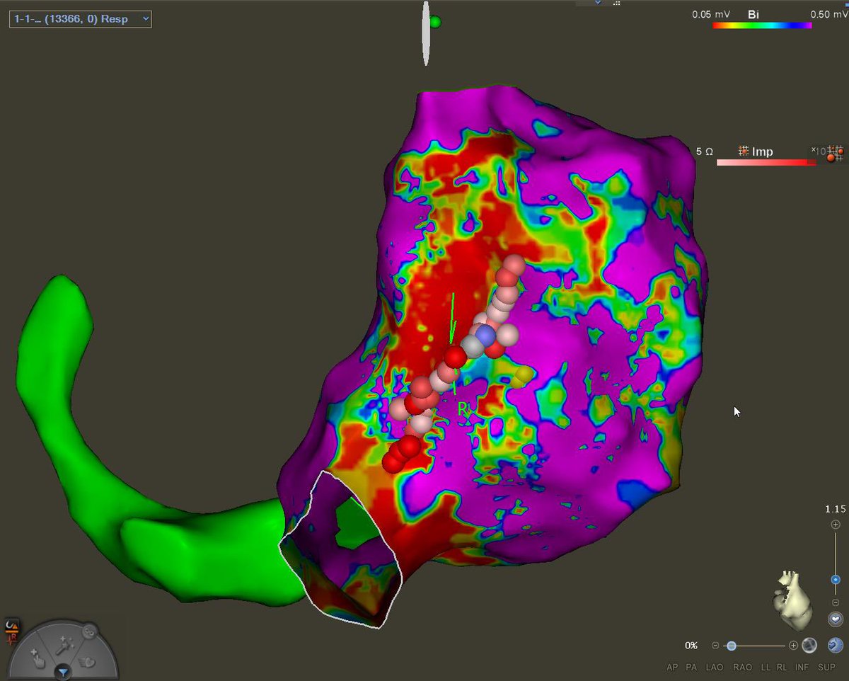 Hawkins Gay, MD, MPH tweet media