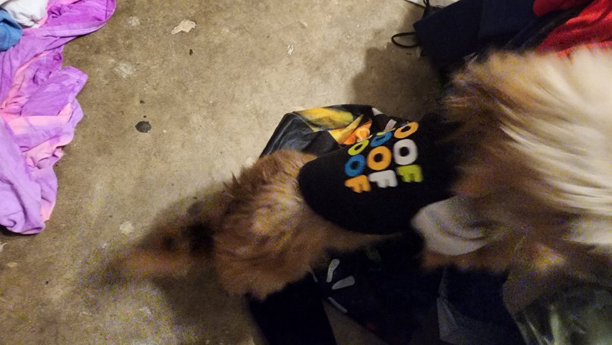 Jordan60D's tweet photo. Rip Peanut you will be missed https://t.co/VLqedXmx9E