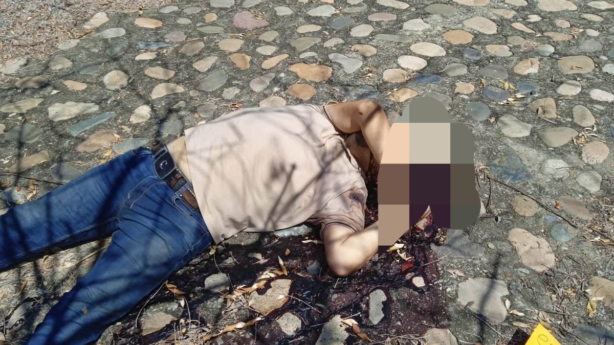 MexicoInseguro2's tweet photo. La violencia sigue en el estado seguro de la Gobernadora @EvelynSalgadoP un muerto más en la costa grande de Guerrero, aparecio en El Calvario perteneciente al municipio de Petatlan, dónde el cartel de la Familia Michoacana pelea el territorio, esto con la complacencias de usted. https://t.co/q5aQZcOVpB