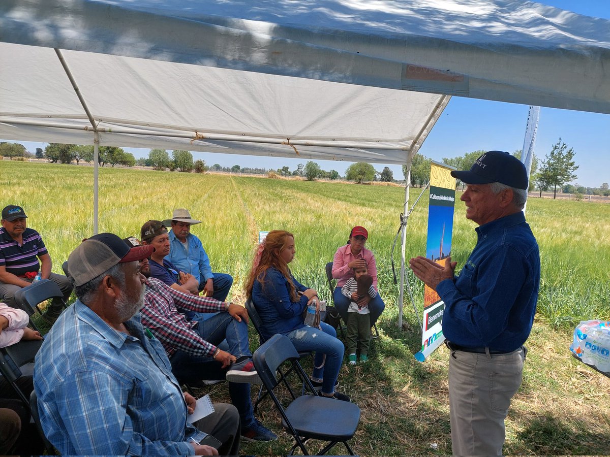 En la Plataforma de Investigación Valle de Santiago, compartimos con productores y colaboradores aprendizajes  sobre el manejo de nitrógeno en cultivo de cebada sembrada en Agricultura de Conservación #CultivandounMéxicoMejor 
<a href="/ACCIMMYT/">ACCIMMYT</a> <a href="/Heineken_MX/">Heineken MX</a> <a href="/FIRA_Mexico/">FIRA</a> CDT Villadiego